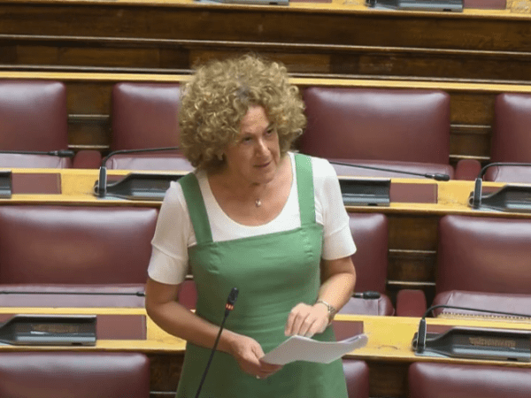 Αφρ. Κτενά: Παραμένουν οι παράγοντες που οδήγησαν στην περυσινή καταστροφική πυρκαγιά του Αυγούστου στην Αττική